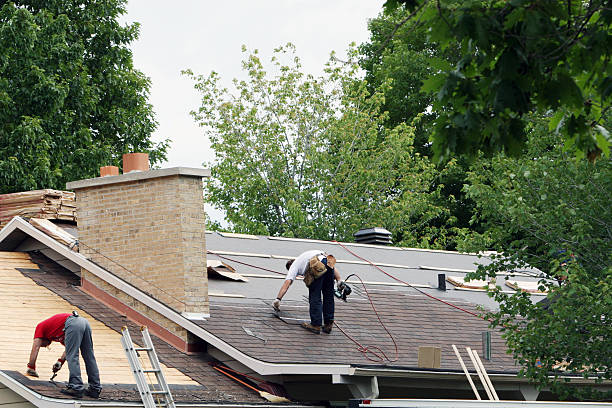 Best Roof Leak Repair  in High Ridge, MO