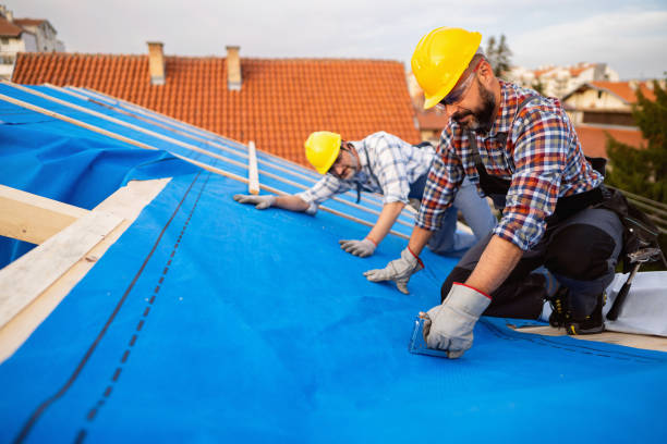 Best Flat Roof Repair Services  in High Ridge, MO